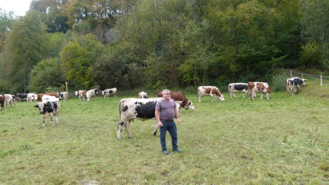 La Montagna del Latte Scende in città