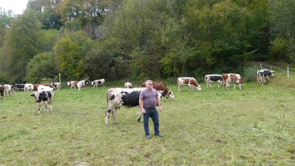 La Montagna del Latte Scende in città