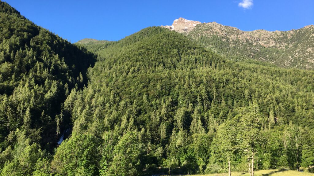Forest bathing nel Parco di Portofino