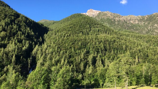 Forest bathing nel Parco di Portofino
