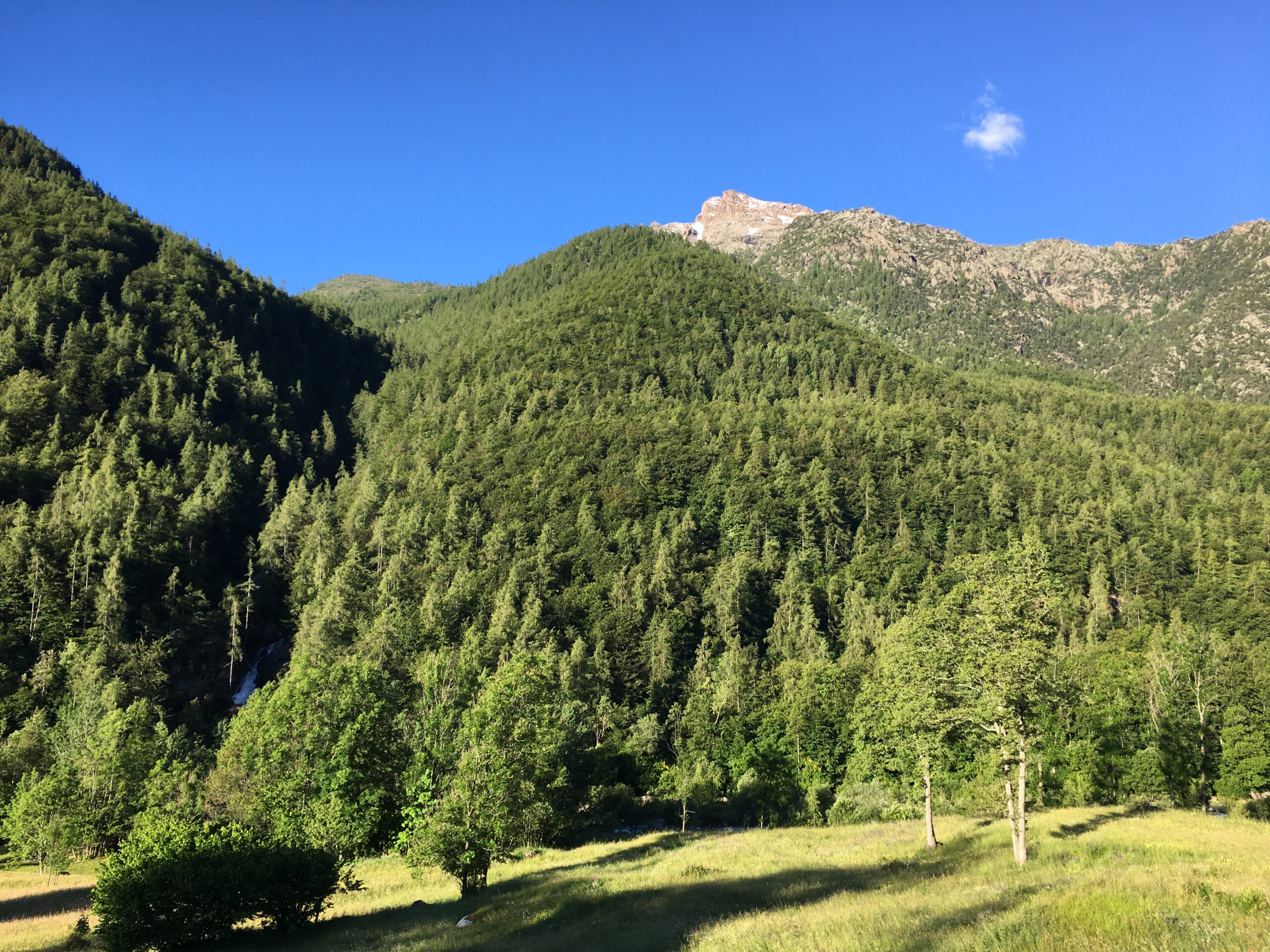 Forest bathing nel Parco di Portofino