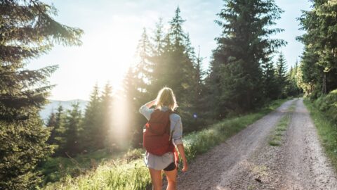 Un ulteriore collegamento tra città e montagna