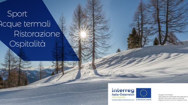 Il Progetto Winhealth